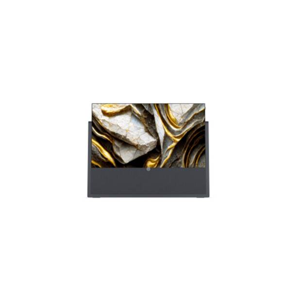 Loewe iconic v.65 graphite grey Ausstellungsstück