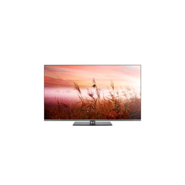 TV-50W83AE9 Ausstellungsstück
