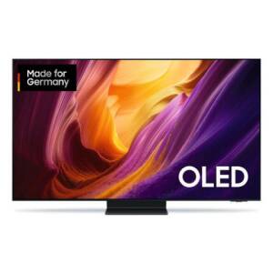 Samsung GQ65S95HFTXZG